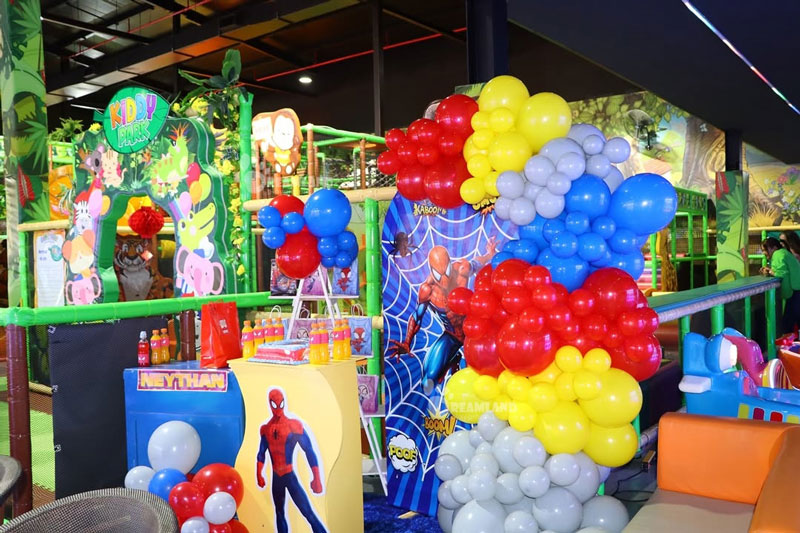 Birthday Party Area